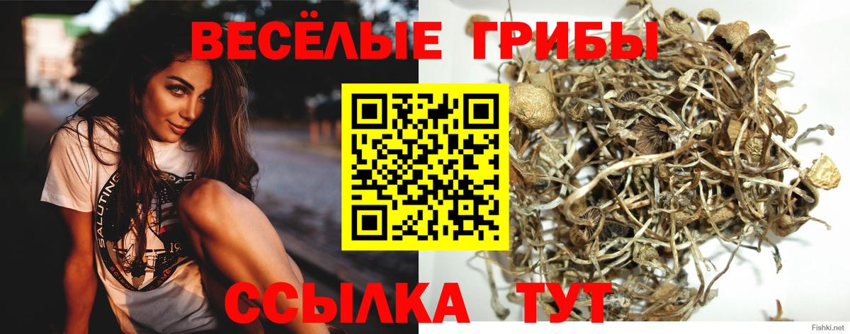 сколько стоит  Галлюциногенные грибы мицелий  Вход с VPN  Благовещенск 