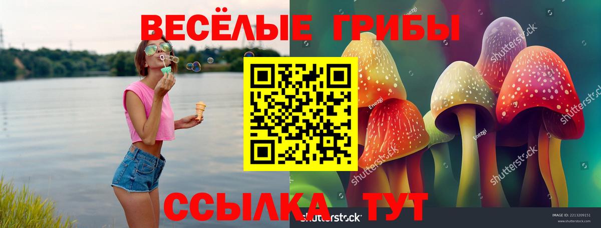 Псилоцибиновые грибы MAGIC MUSHROOMS Благовещенск
